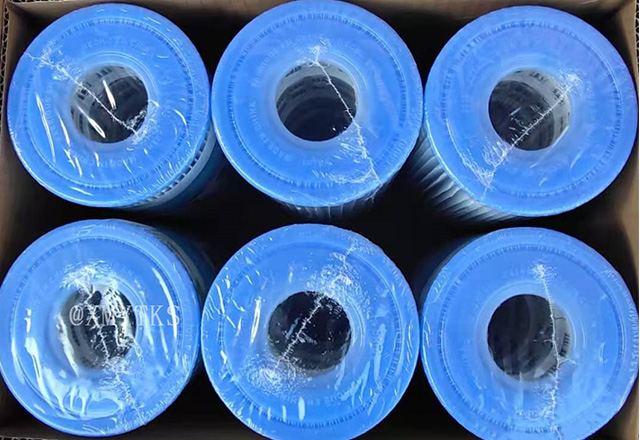 Swimming Pool Water Filter